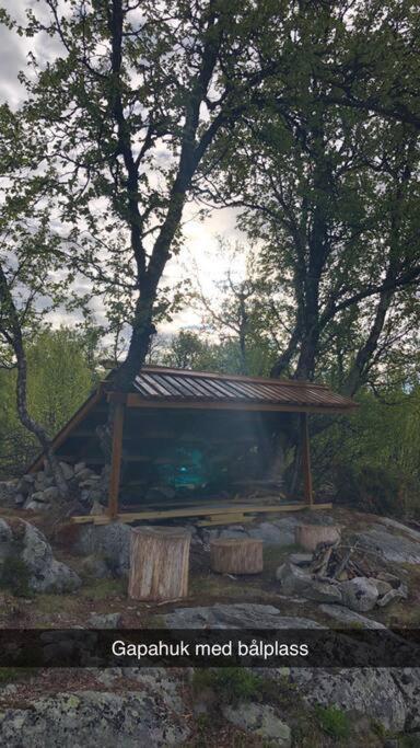Koselig Familiehytte Pa Vakre Dagali - Naer Geilo Exterior foto