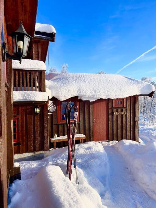 Koselig Familiehytte Pa Vakre Dagali - Naer Geilo Exterior foto